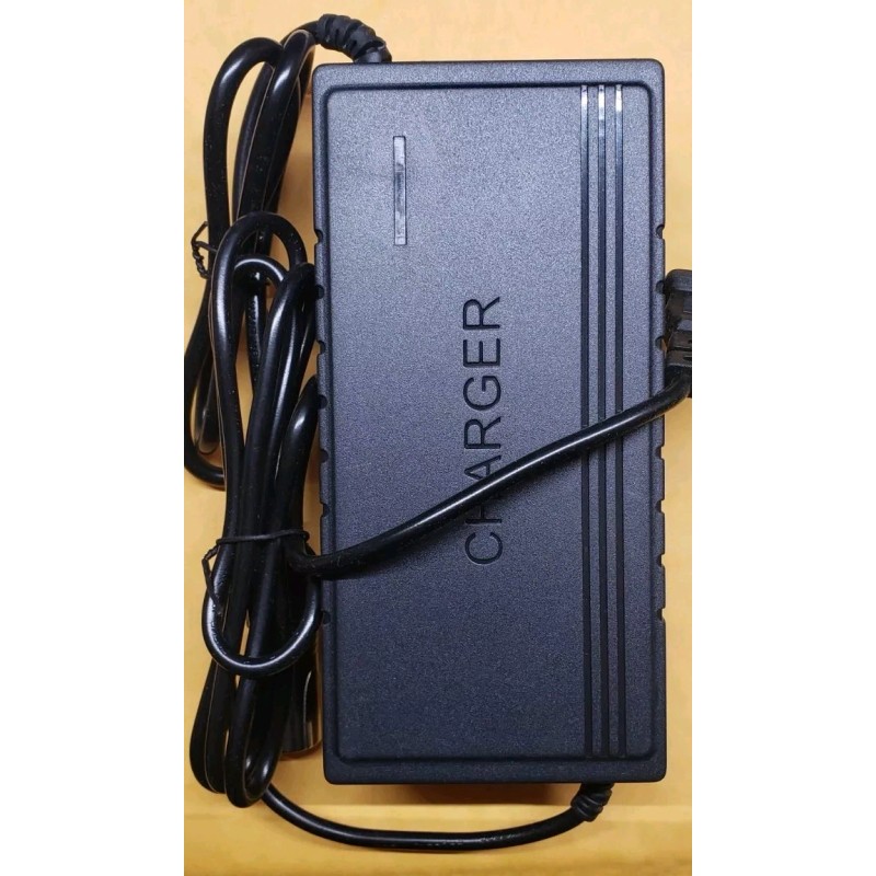 coming data fast 3A power supply battery Charger for EMOVE