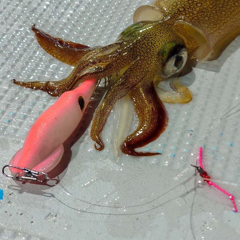 DAIWA EMIM Dropper SQF18 Glow Squid, No. 1.8