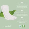 Organyc 100% Certified Organic Cotton Panty Liner, Maxi, 20 Count