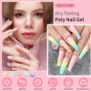 Arousar Poly Nail Extension Gel Set, 8 Colours Summer Bright