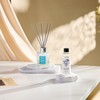 Airkeep Reed DiffuserO il Refill/Ocean Mist&Sea Salt/3.38oz（100ml/1 Pack/Scented Oil Refill