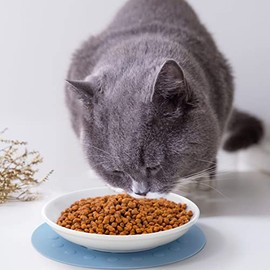 Platos de cerámica para gatos: cuencos de comida húmeda y seca, antiestrés y antideslizantes