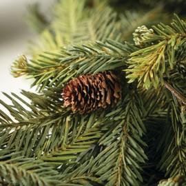 Sullivans 6 ft Alpine Fir Lightweight Garland, Artificial Greenery, Christmas Garland, Perfect for Weddings, Fireplace Mantels, Dining and Living Rooms