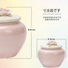 DiDiBirDi Mini Urn, Urn for Partial Bone, Urn Cover for