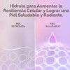 Olay Suero Reparador Nocturno – Hidratación Profunda y Piel Más