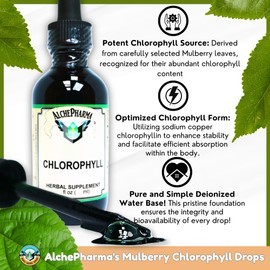 AlchePharma Chlorophyll from Mulberry Leaf as Sodium Copper Chlorophyllin (2mg Copper per 15 Drops) w/Peppermint Essential Oil. (1)