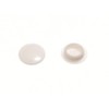PUSH FIT SCREW COVER CAP WHITE No. 6 & No. 8 ( pack of 50 )