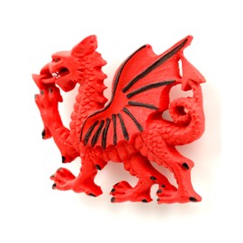 Puckator Welsh Dragon - Fridge Magnets - Fantasy Decorative Home Accessories - Strong Magnet - Brittish gifts - Magnetic Toys - Office Supplies - Whiteboard Magnets
