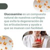 Articulaciones, Promotes JointComfort and Function, Natural TamaFlex Tamarindextract& Turmeric extra