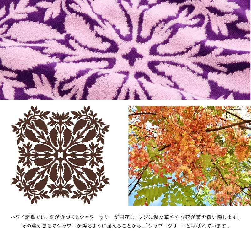 [キャシーマム アイランドスタイル] ノヘアシリーズ 23902202 ヘアバンド レディース 23902202D パープル[D] シャワーツリーパープル 約