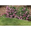 Suncast 7 Pack Quick Edge Resin Material 35 Inch Single