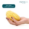 Martini SPUGNA 685 Extra Soffice
