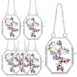 Set of 6 Double Glass Frame for Pressed Flowers 2.5 x 3.5 Inch Hanging Glass Photo Frame Octagon Dried Flower Photo Frame Small Floating Picture Frames for Kids Artwork Plant Specimen (Rose Gold)