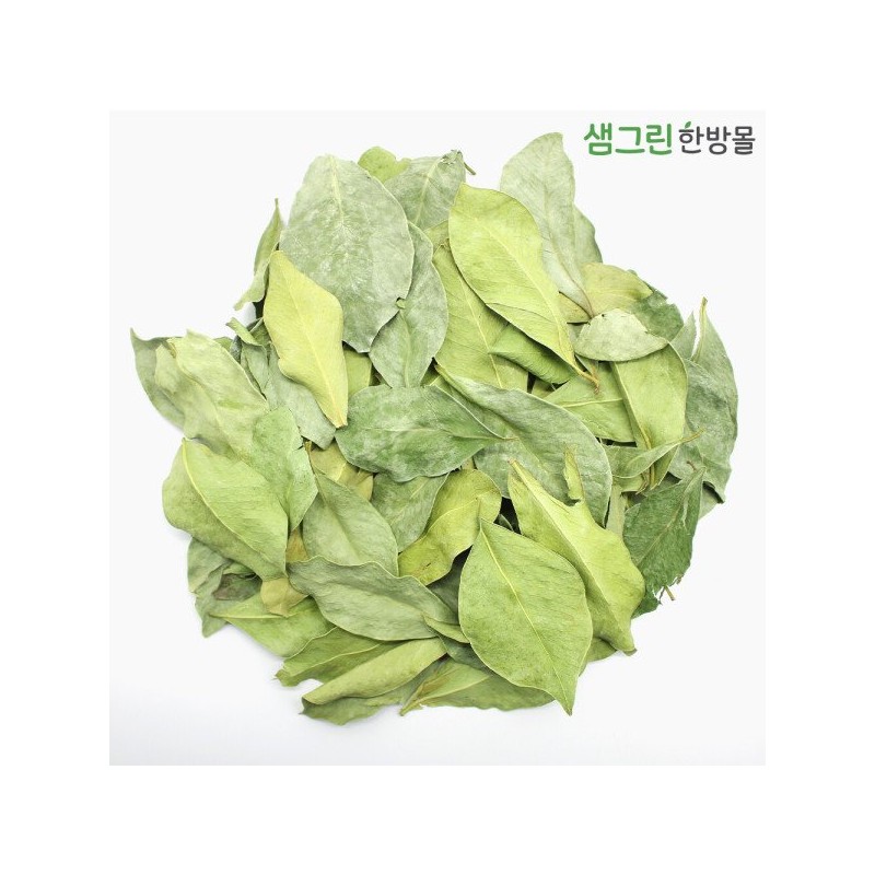 구아바잎 100g 국내산 구아바잎차 Guava Leaf 100g Domestic Guava Leaf