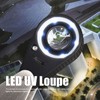LED UV Loupe Rechargeable Foldable Portable Metal 30X Pocket Magnifier