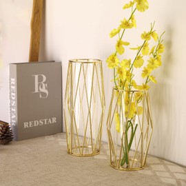 Stylish Vase Single Vase, Scandinavian Gold, Flower Base, Transparent, Cute, Petals, Suitable for Living Room, Bedroom, Office, Etc. Hydroponic, Flower Arrangement, Artificial Flowers, Height 8.7 inches (22 cm) (Medium)