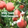 YAMASAN KYOTO UJI Japanese Mochi Candy Individually Wrapped, Momo White