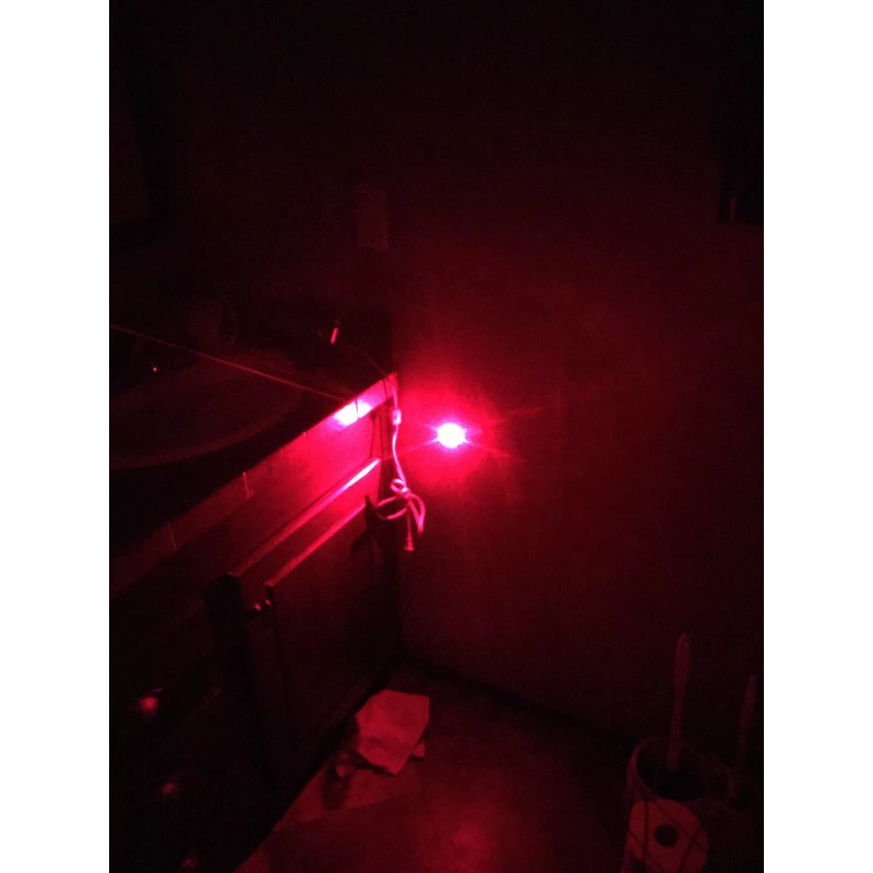 Renegade Laser Red Key Chain Laser Pointer