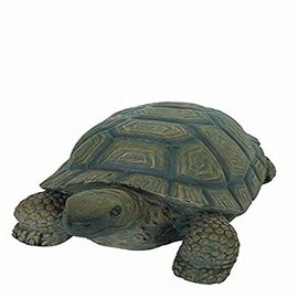Hi-Line Gift 75629-D 10" Turtle Statue