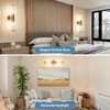 ECOBRT Modern Brushed Brass Vanity Light Fixture - Dual Glass