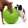 SWYIVY 25-Inch Herding Ball for Dogs with Straps, Giant Horse