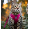 RC Pet Products Adventure Kitty Harness, Cat Walking Harness, Small,