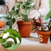 40 Pcs Low Stress Training Clips, 90 Degrees Plant Trainer