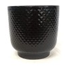 Sill and Sage Shell Pot, Black, Large