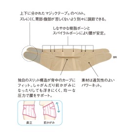 Wacoal Raku Partner DWL600 Lumbar Protection Belt, Supporter, Stable Support, Moderate Fit, Nursing Care, Seniors, BR, M