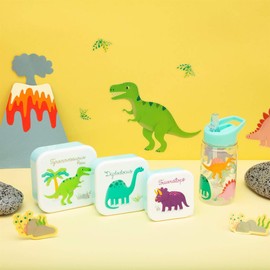 Sass & Belle Drink up Roarsome Dinosaurs Water Bottle