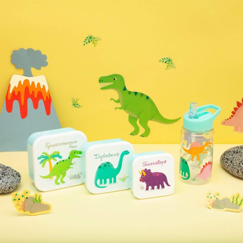 Sass & Belle Drink up Roarsome Dinosaurs Water Bottle