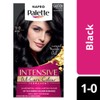 Napro Palette Permanent Hair Colour 1-0 Black