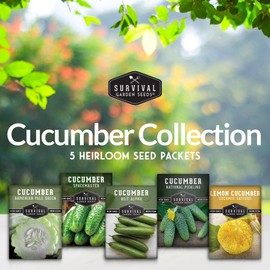 Survival Garden Seeds Cucumber Collection - Mix of Armenian, Beit Alpha, Lemon, National Pickling, & Spacemaster Seed Packets to Grow Vining Vegetables on The Homestead - Non GMO Heirloom Seed Vault