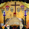Yerliker 8 hojas Dia De Los Muertos Decoraciones, calcomanías para