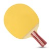 Ping Pong Rubber Sheet, Table Tennis Rubber Cover Ping Pong