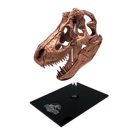 Factory Entertainment Jurassic Park - T-Rex Skull Scaled Prop Replica