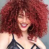 rosmile Curly Wigs for Black Women -Burgundy Synthetic African American