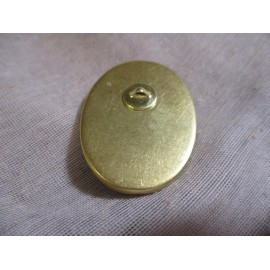 XL GLASS DOME "STAINED GLASS " FLOWER SERIES BUTTON - BLUE MORNING GLORY