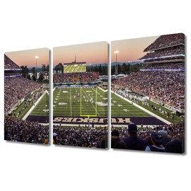 Football Field Skyline Wall Art Painting Football Sports Stadium Bedroom Living Room Wall Decor Framed Modern Pictures Canvas Prints Artwork for Wall Decor Bathroom Office Decorations, 36" Wx24 H