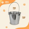 Advance Pet Products 2 Quart Heavy Duty Stainless Steel Flat