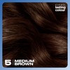 Clairol Lasting Colour Permanent Hair Dye | Ideal Grey Coverage