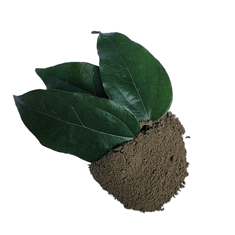 Tilacoa Triandra Powder, Made From 100% Tiliacora Triandra - Pure,