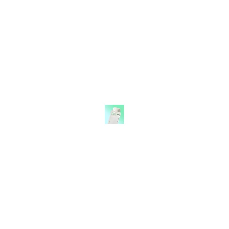 Innisfree 그린티 히알루론산 스킨 170mL Green Tea Hyaluronic Acid Skin