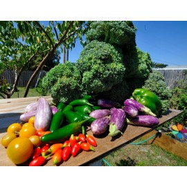 FRONTIER SEED CO. USA Survival Heirloom Seed Bank 6 varieties Emergency Sealed Seeds NON-GMO #14 LOOK!