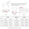 Beirui Cute Girl Dog Collars, Harnesses & Leashes Set -