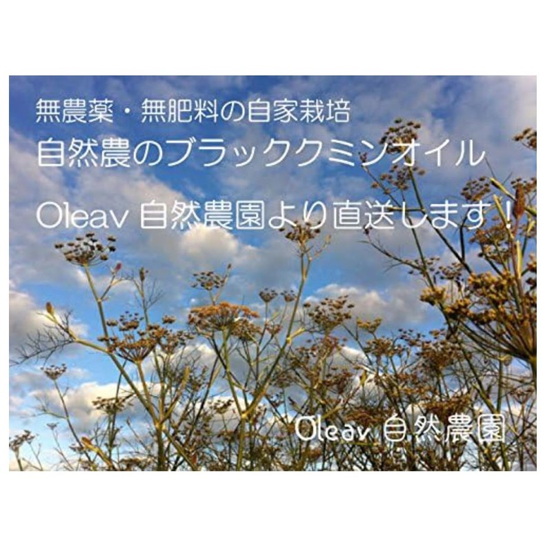 ブラッククミンシードオイル ビーガン カプセル 500mg 120 粒 (1本)約60日分 粒 コールドプレス・エキストラバージンオイル (1)