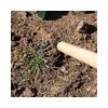 A.M. Leonard Cape Cod Weeders (18-1/2-Inch Hardwood Handle)
