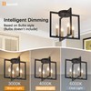 Modern Farmhouse 4-Light Black and Gold Ceiling Light Fixture, Industrial