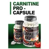 아이언맥스 카르니틴 프로 - 130캡슐 Iron Max L-Carnitine Pro - 130 Capsules