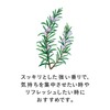 Tea Boutique Mini Pack Rosemary Leaf 40g